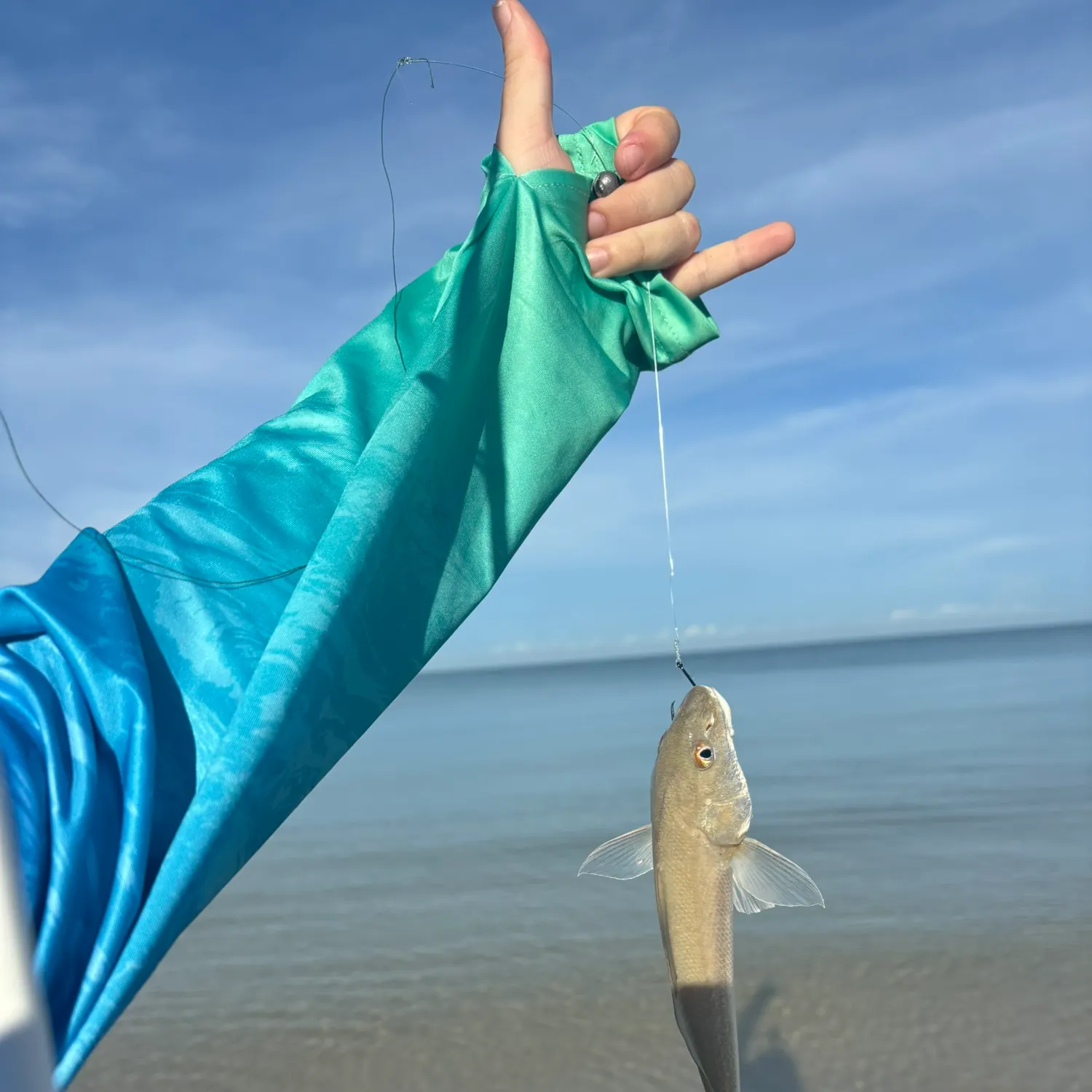 Gulf kingcroaker caught on Fishbrain