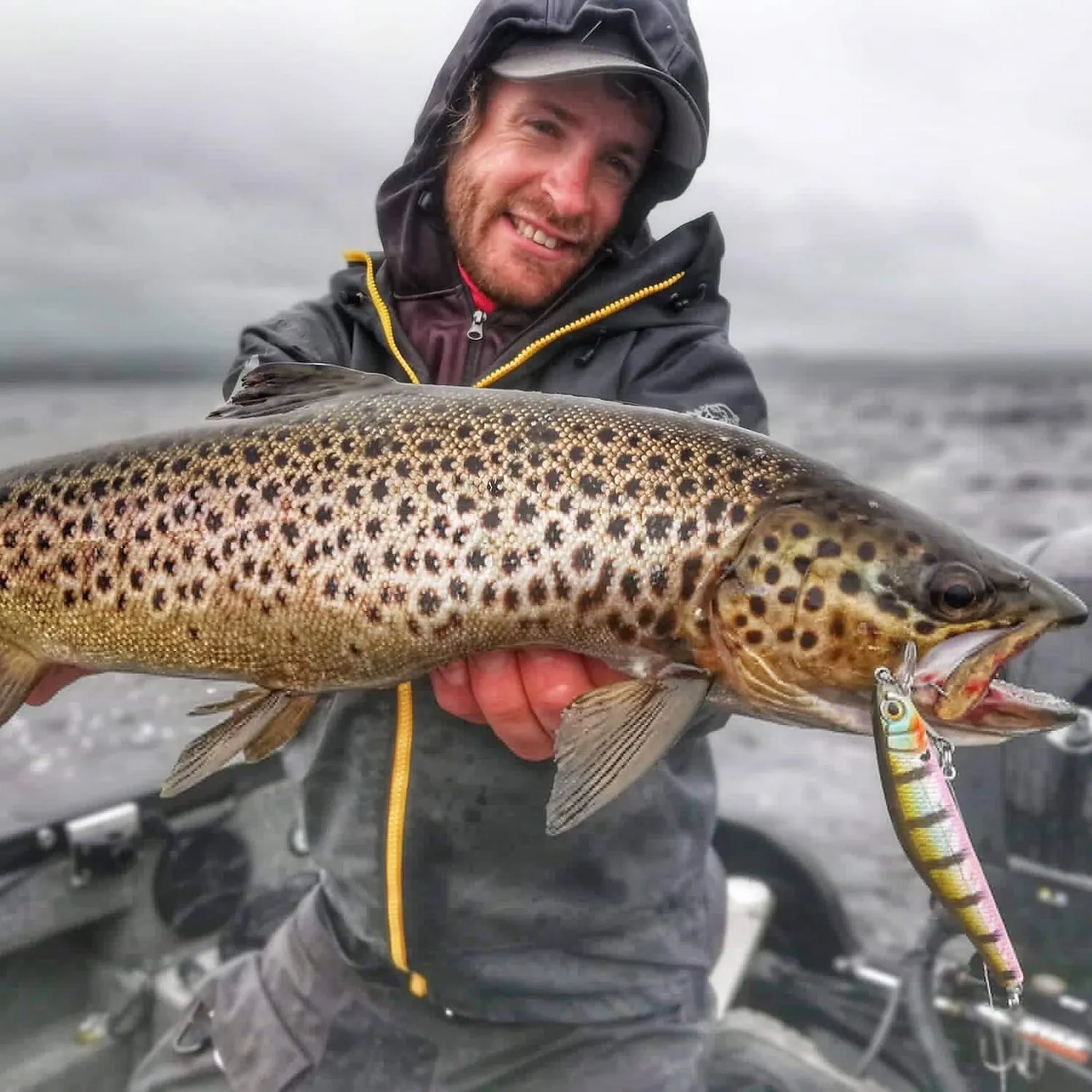 The most popular recent Lake trout catch on Fishbrain