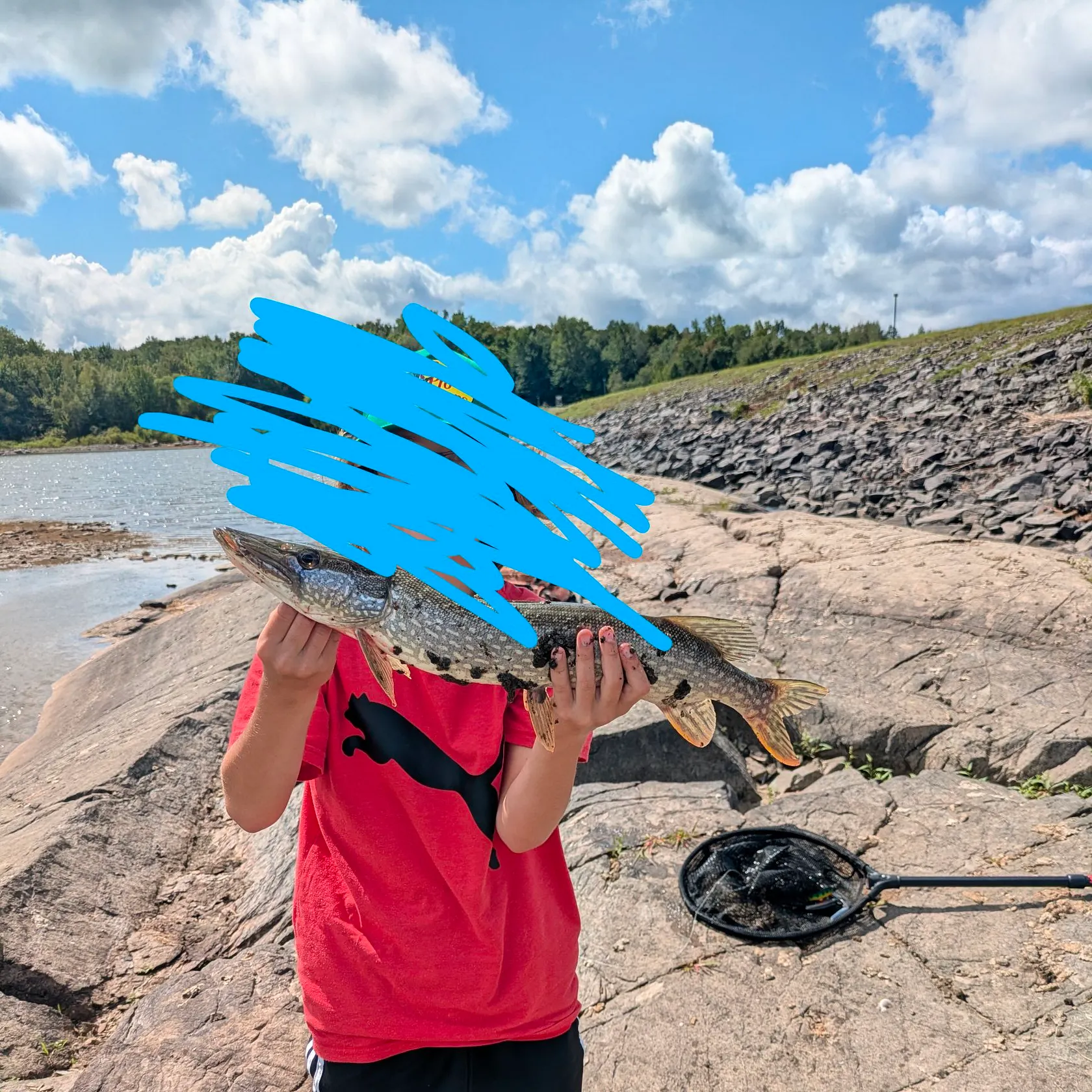 Northern pike caught on Fishbrain