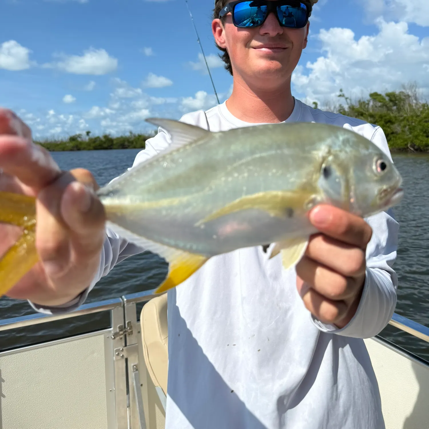 The most recent Hound needlefish catches on Fishbrain