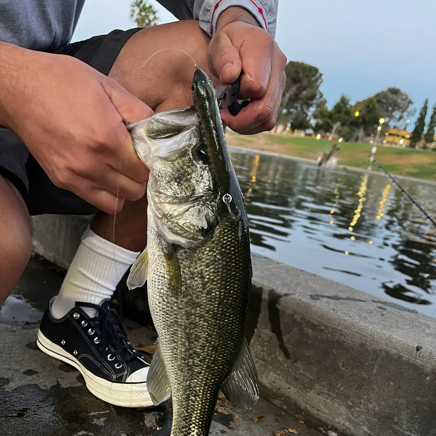 catch