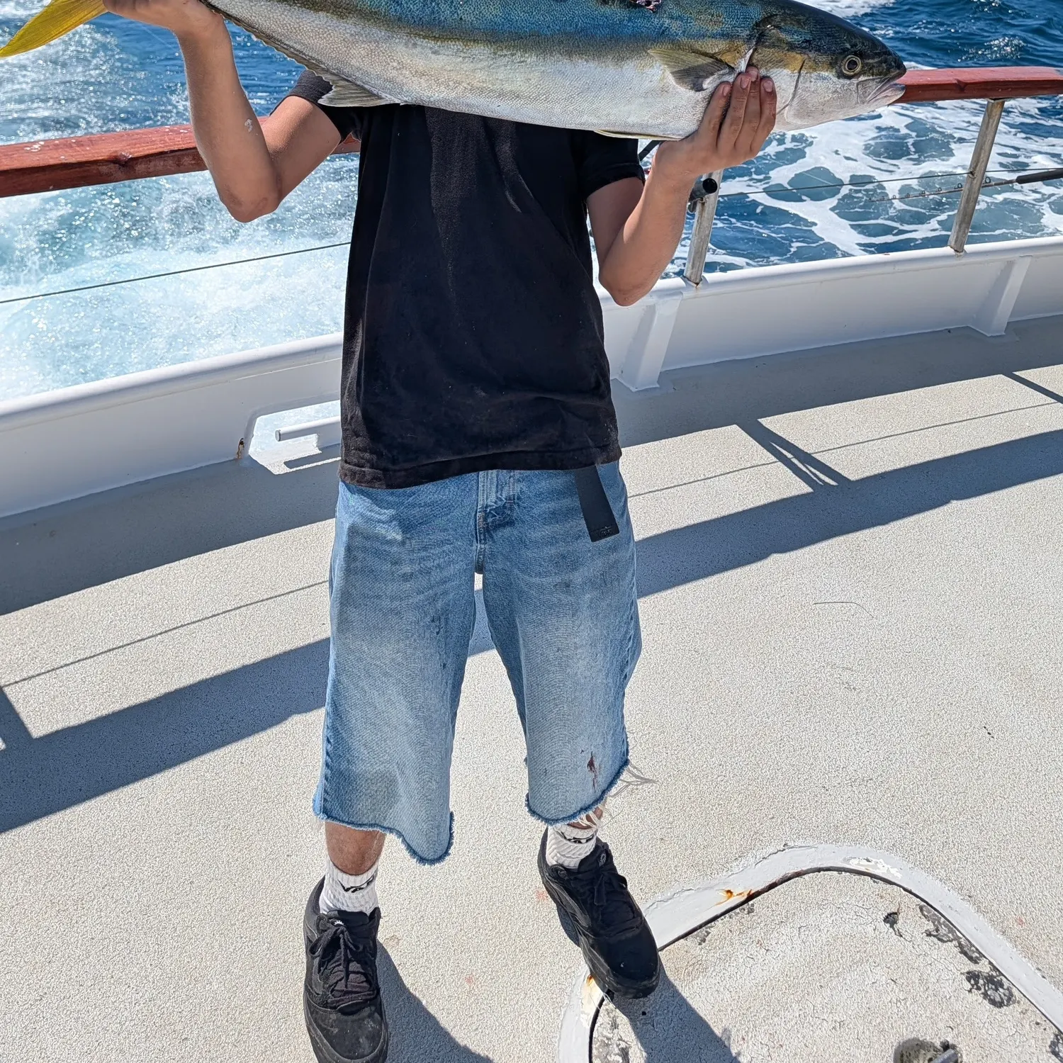 California yellowtail amberjack caught on Fishbrain