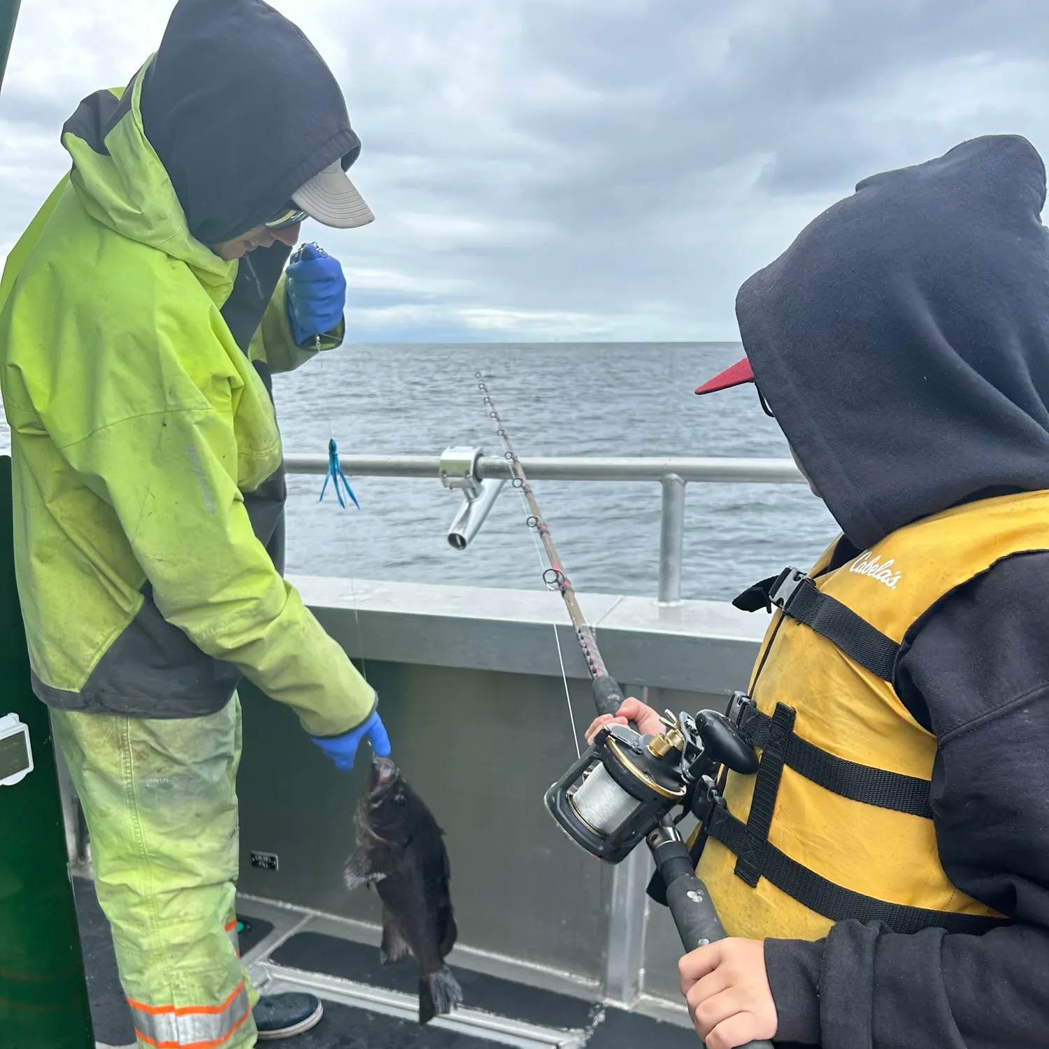 The most recent Black rockfish catches on Fishbrain