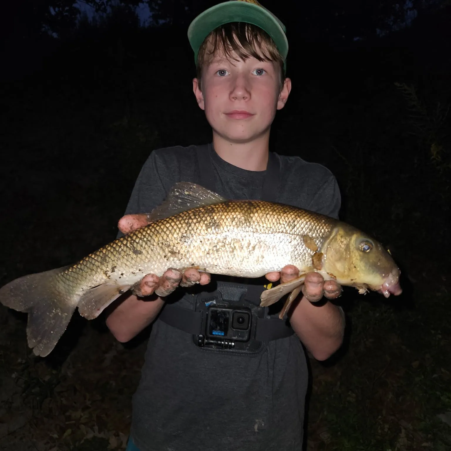 The most recent White sucker catches on Fishbrain