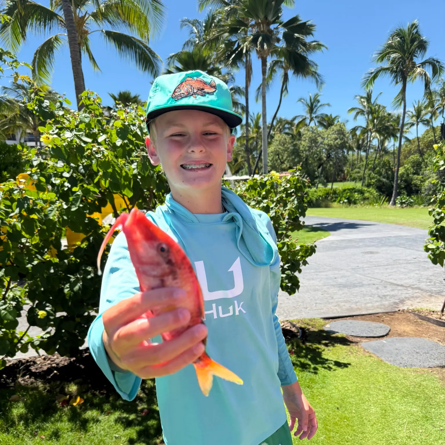 The most recent Northern red snapper catches on Fishbrain