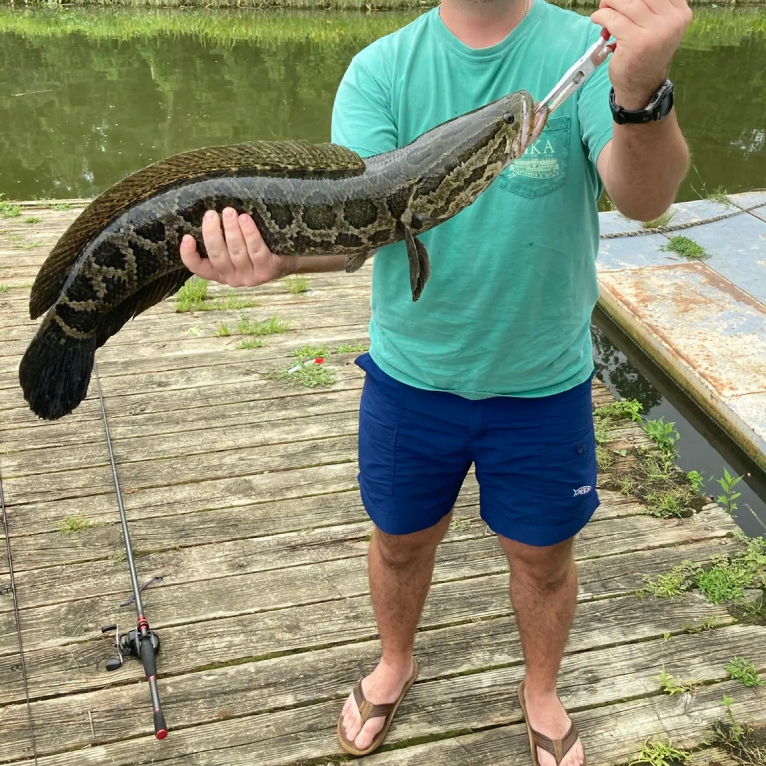 recently logged catches