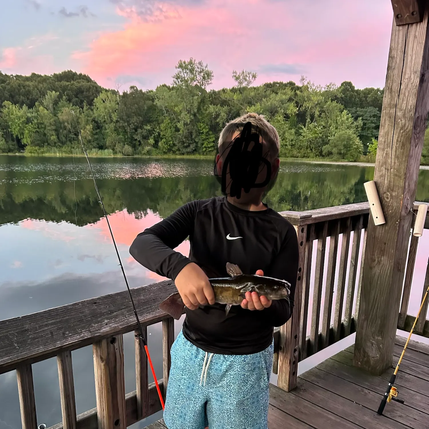 Amur catfish caught on Fishbrain