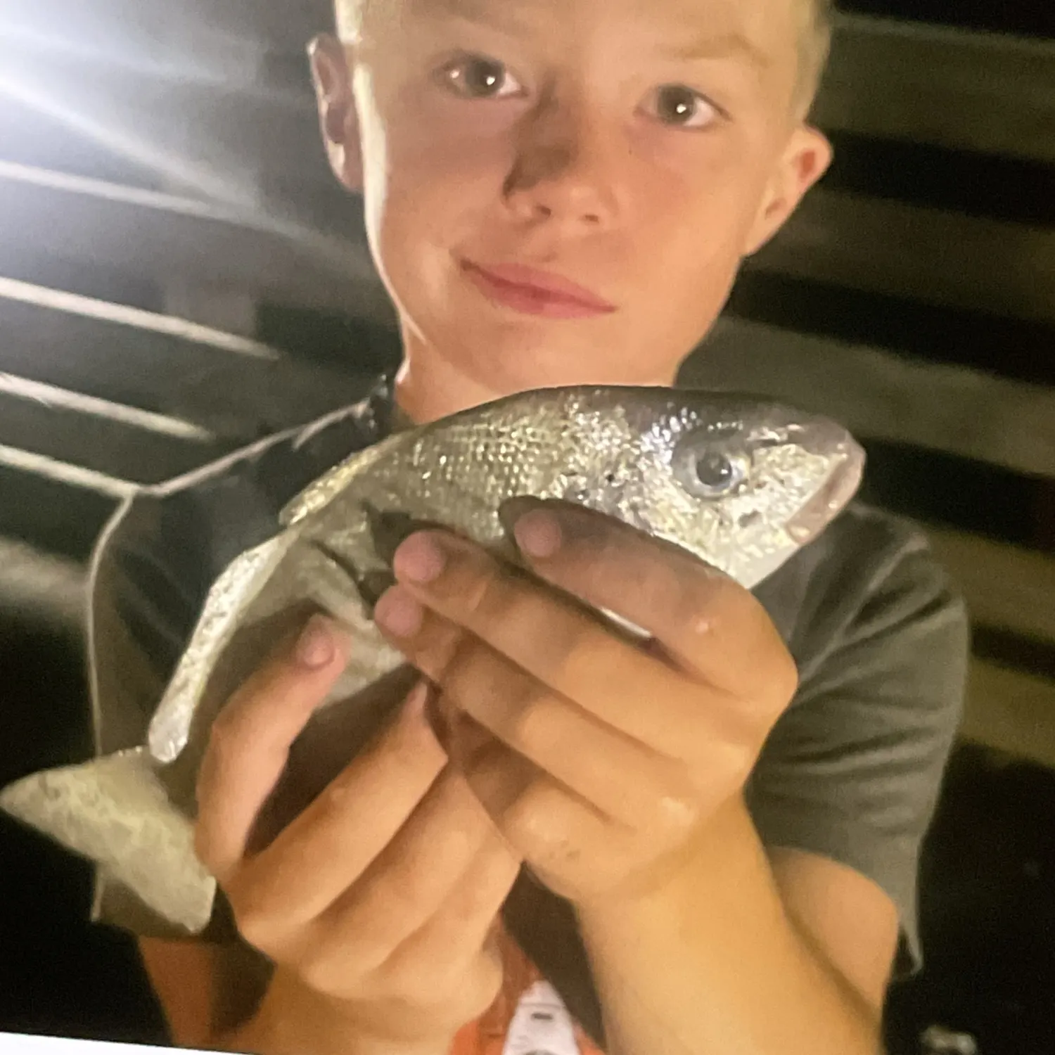 Fish caught on Fishbrain