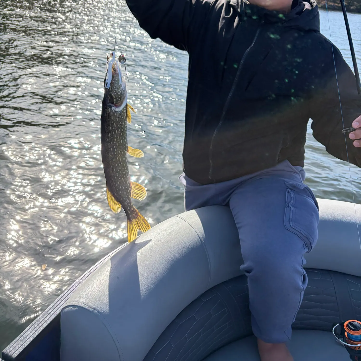 Northern pike caught on Fishbrain