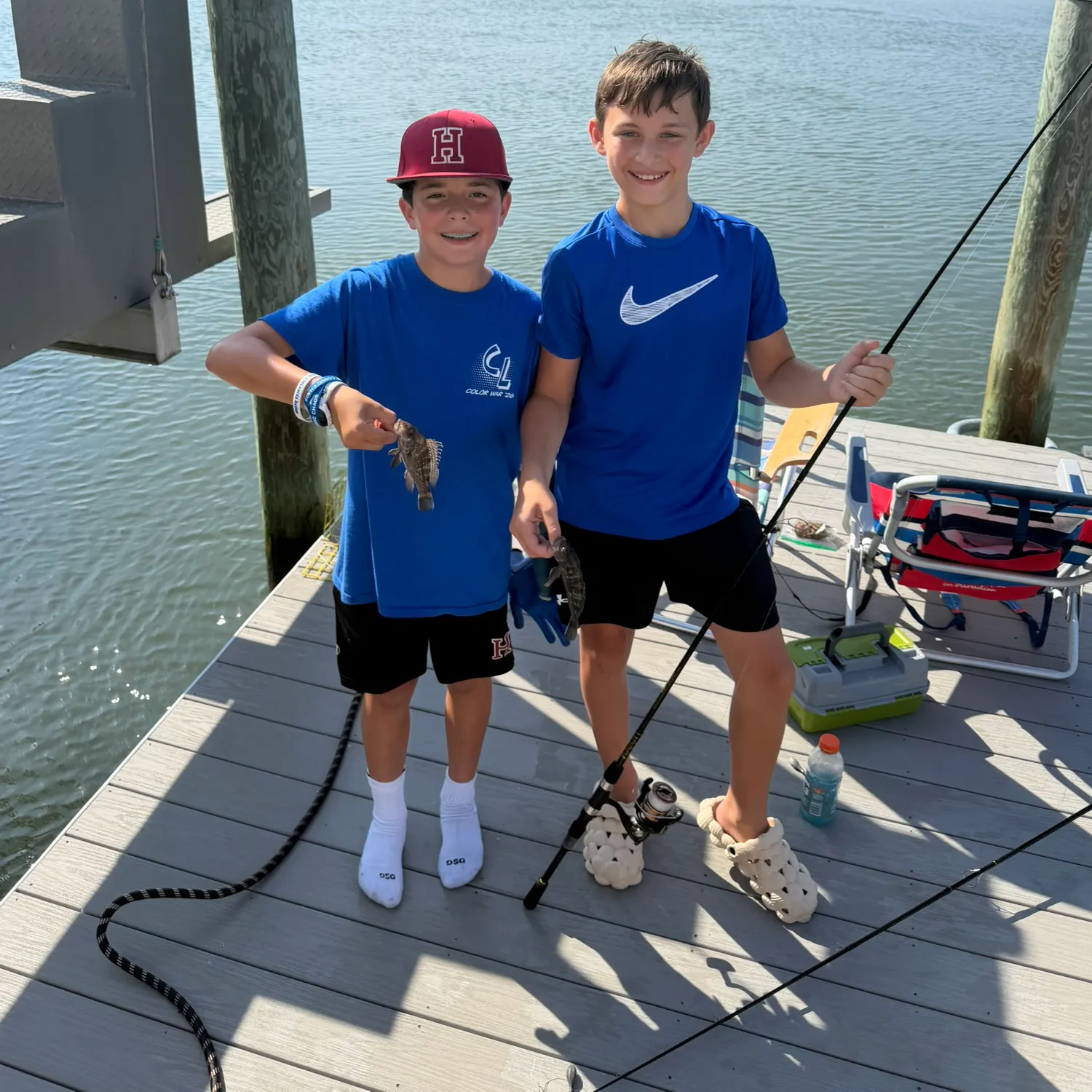 Black sea bass caught on Fishbrain