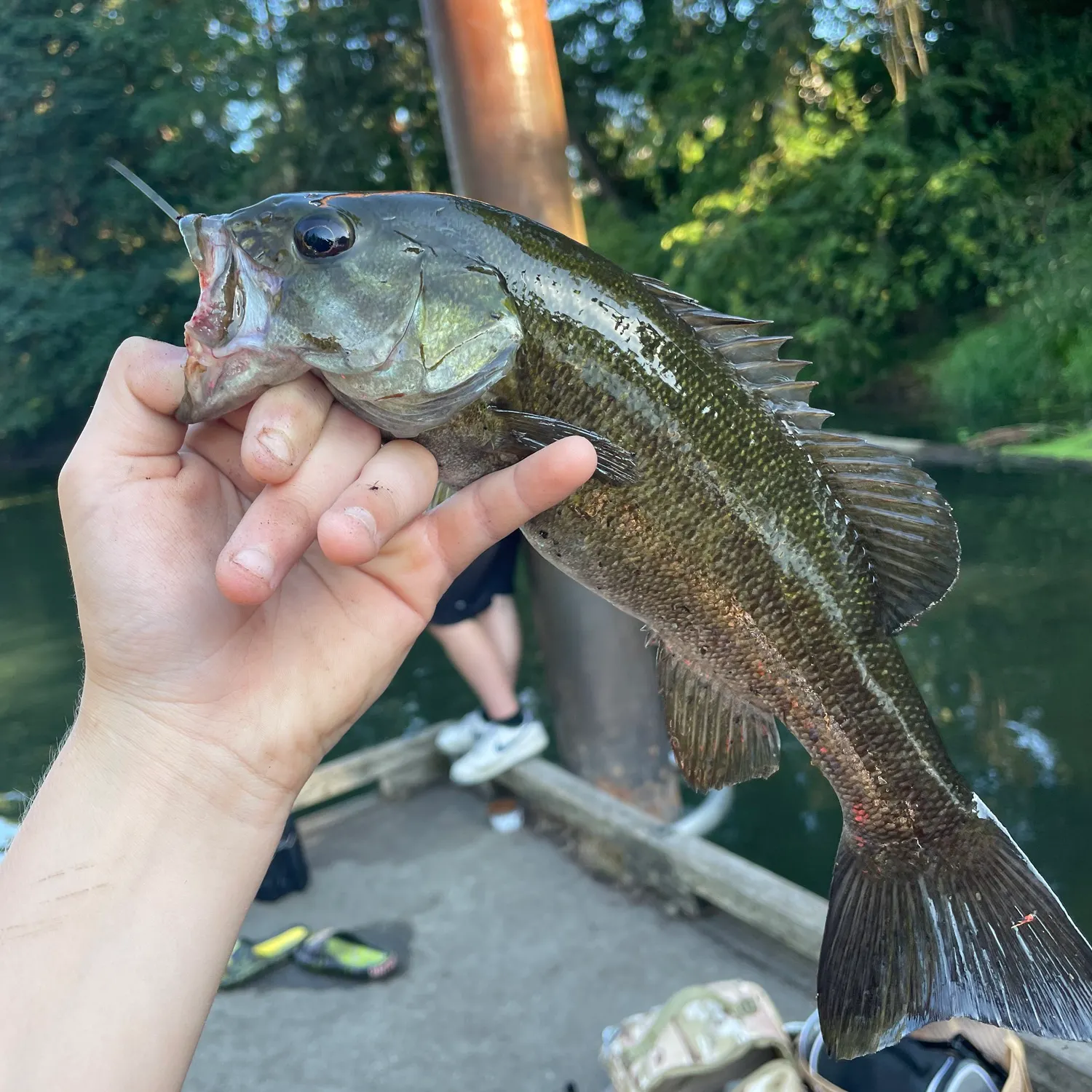 catch