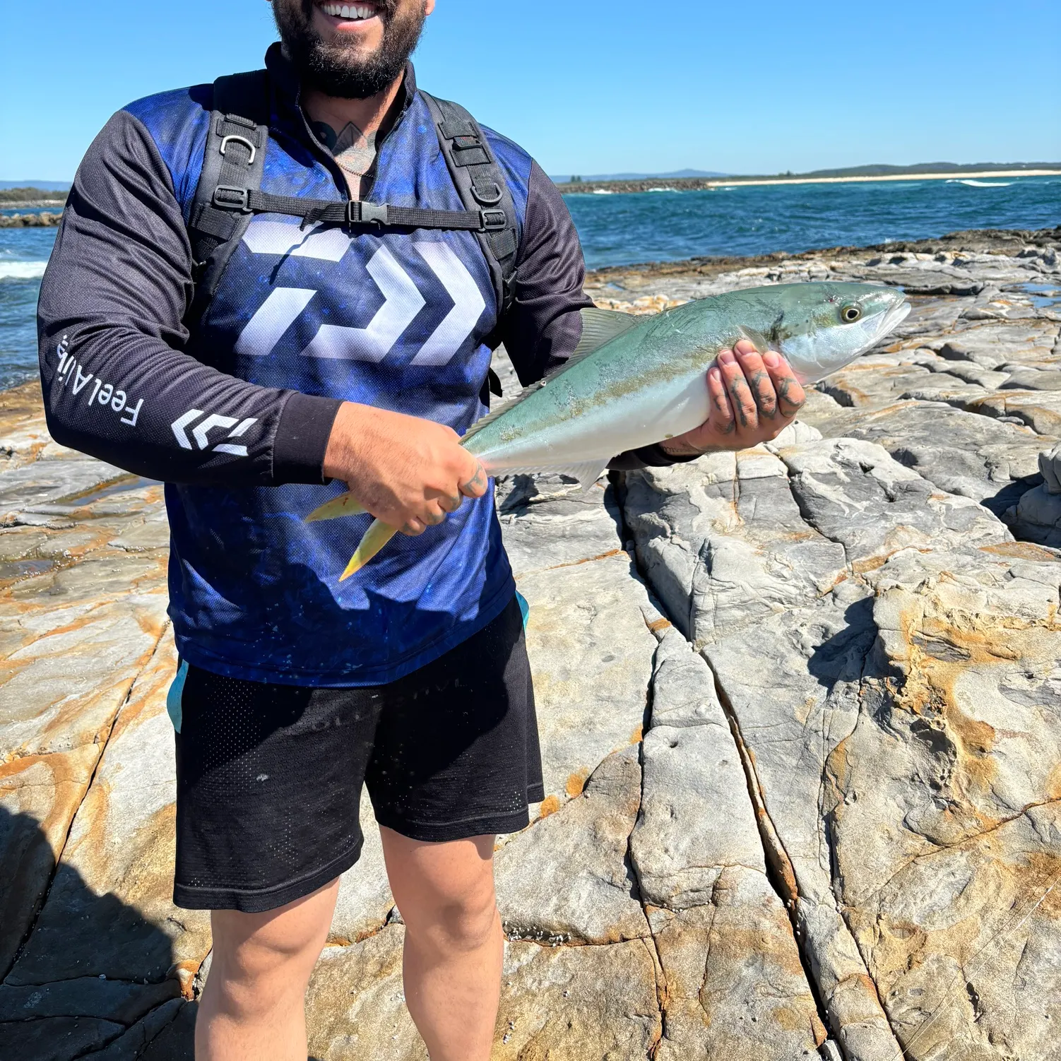 The most recent Southern yellowtail amberjack catches on Fishbrain