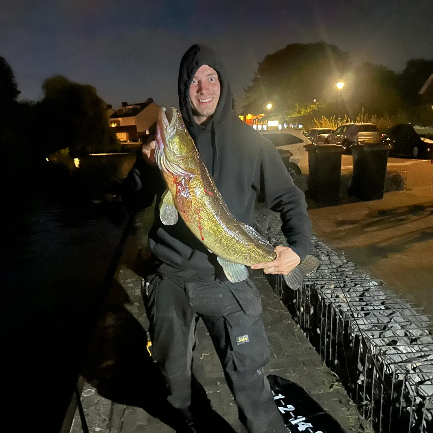 The most recent Zander catches on Fishbrain