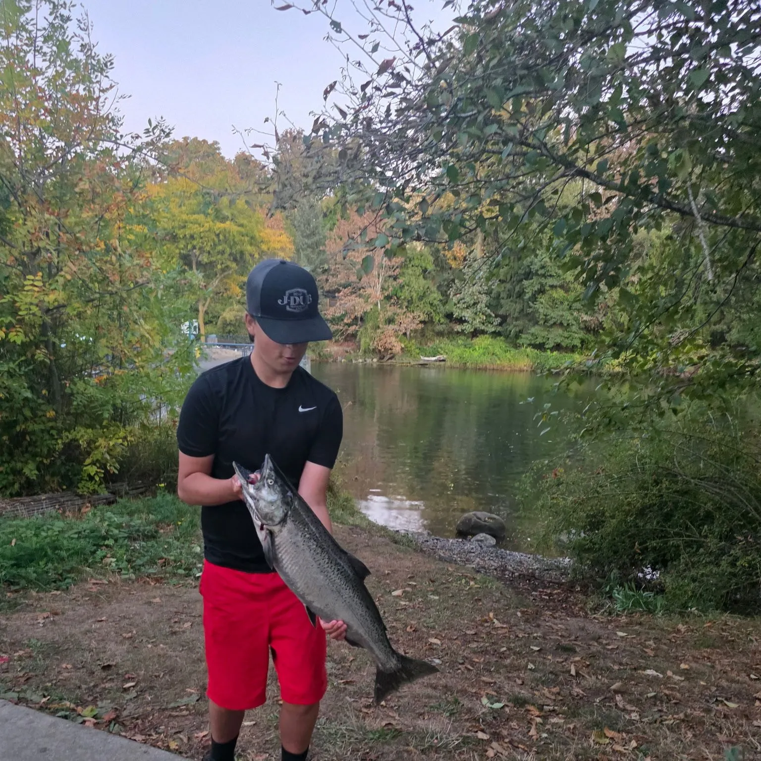 Chinook salmon caught on Fishbrain