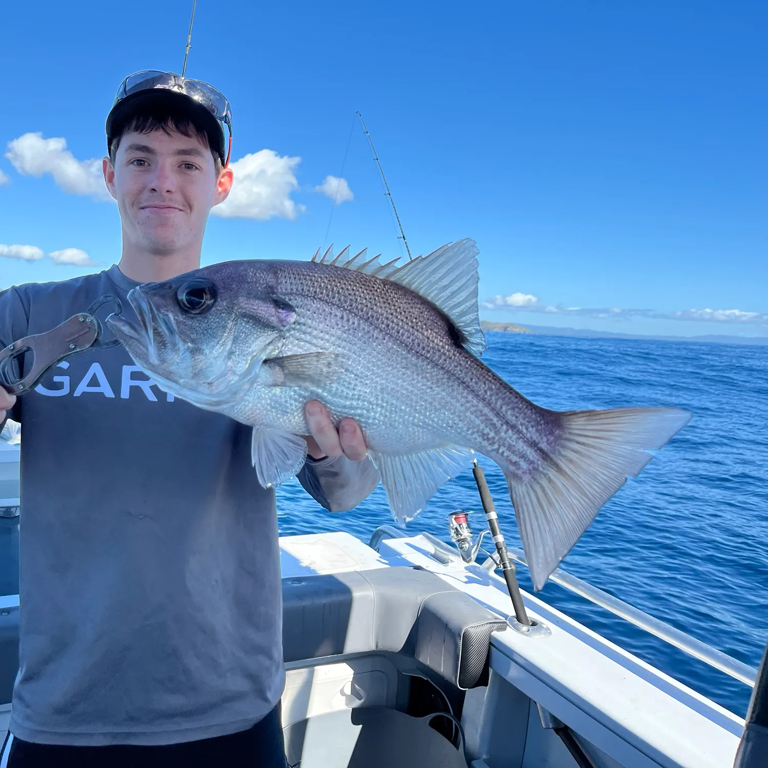 The most recent Pearl perch catches on Fishbrain