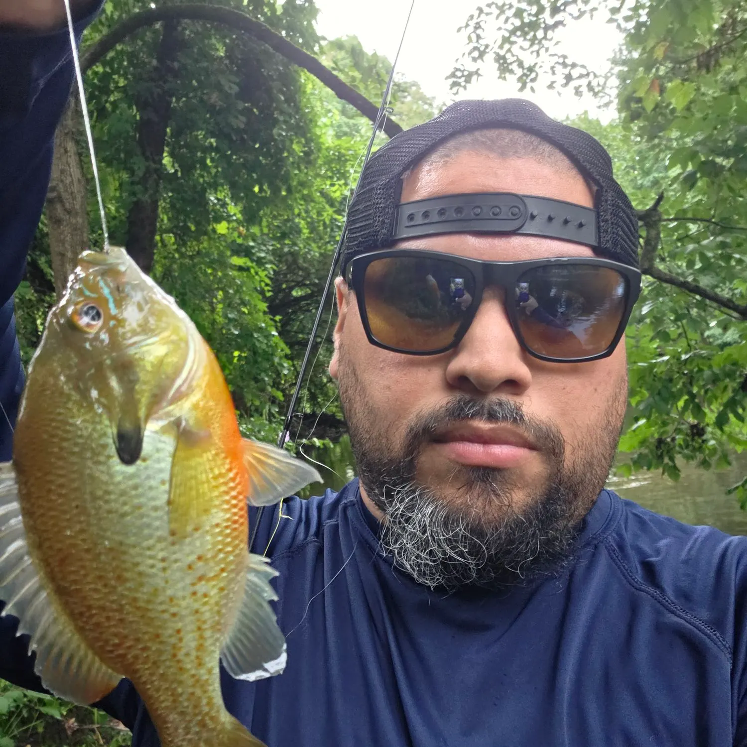 Redbreast sunfish caught on Fishbrain
