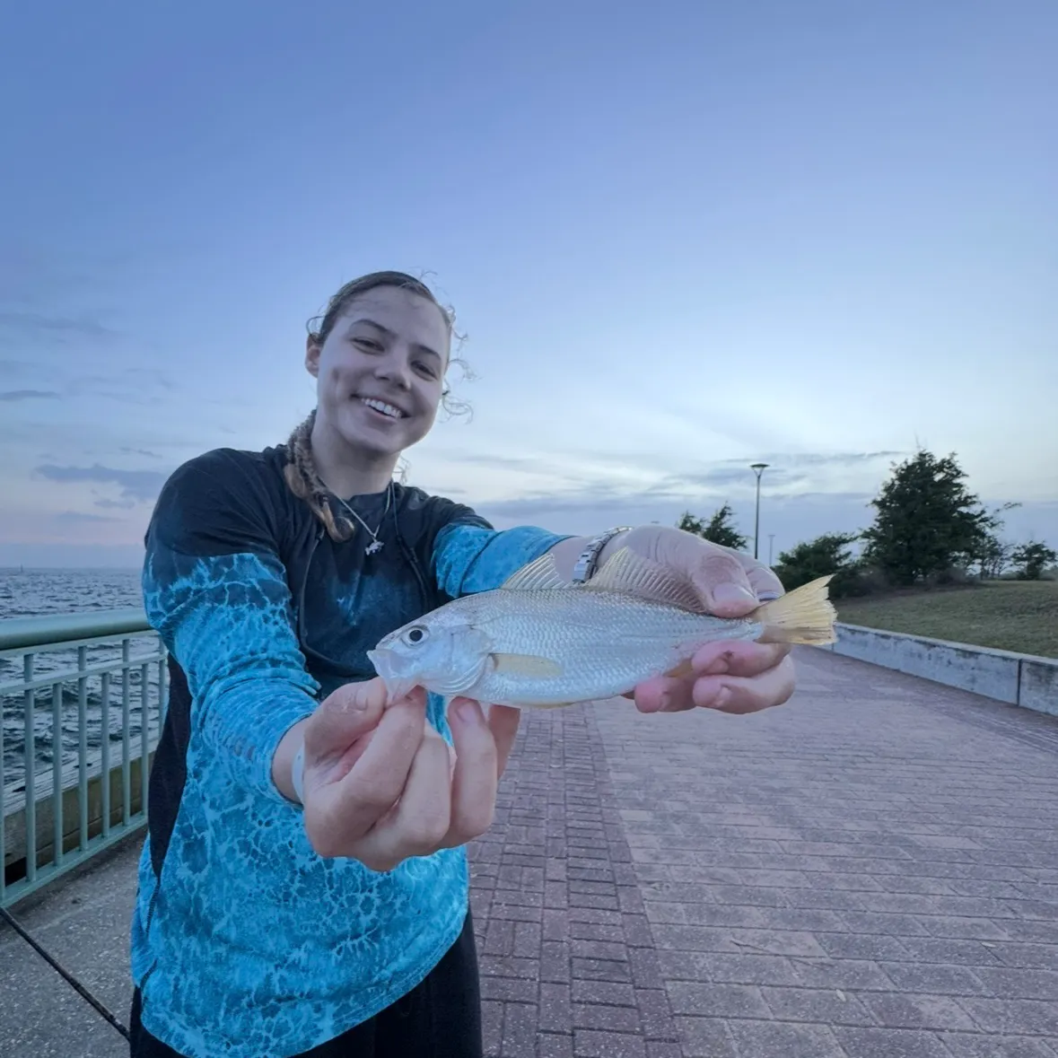 The most recent Silver perch catches on Fishbrain