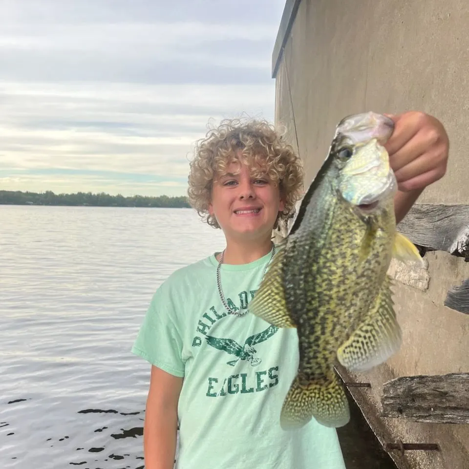 Black crappie caught on Fishbrain