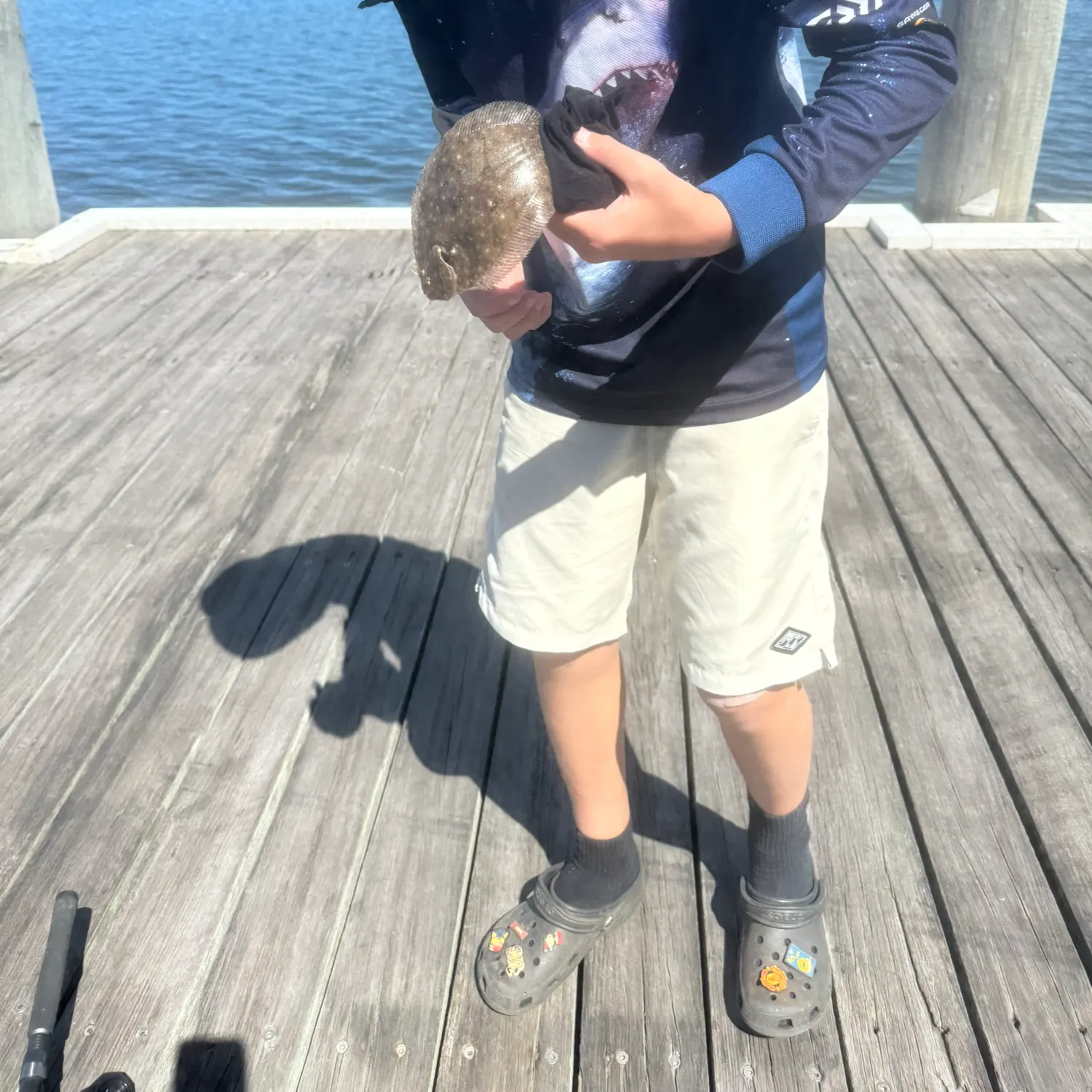 The most recent Windowpane flounder catches on Fishbrain