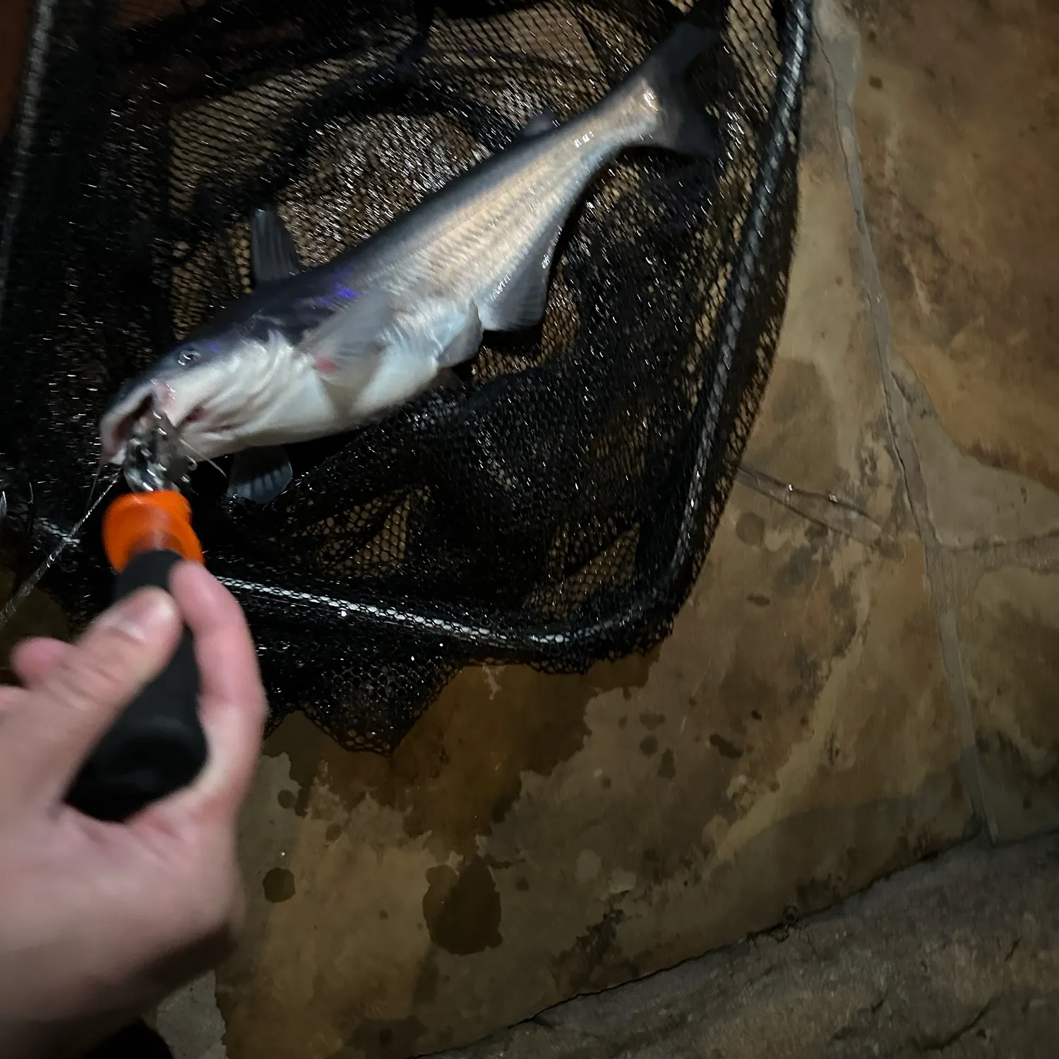 catch