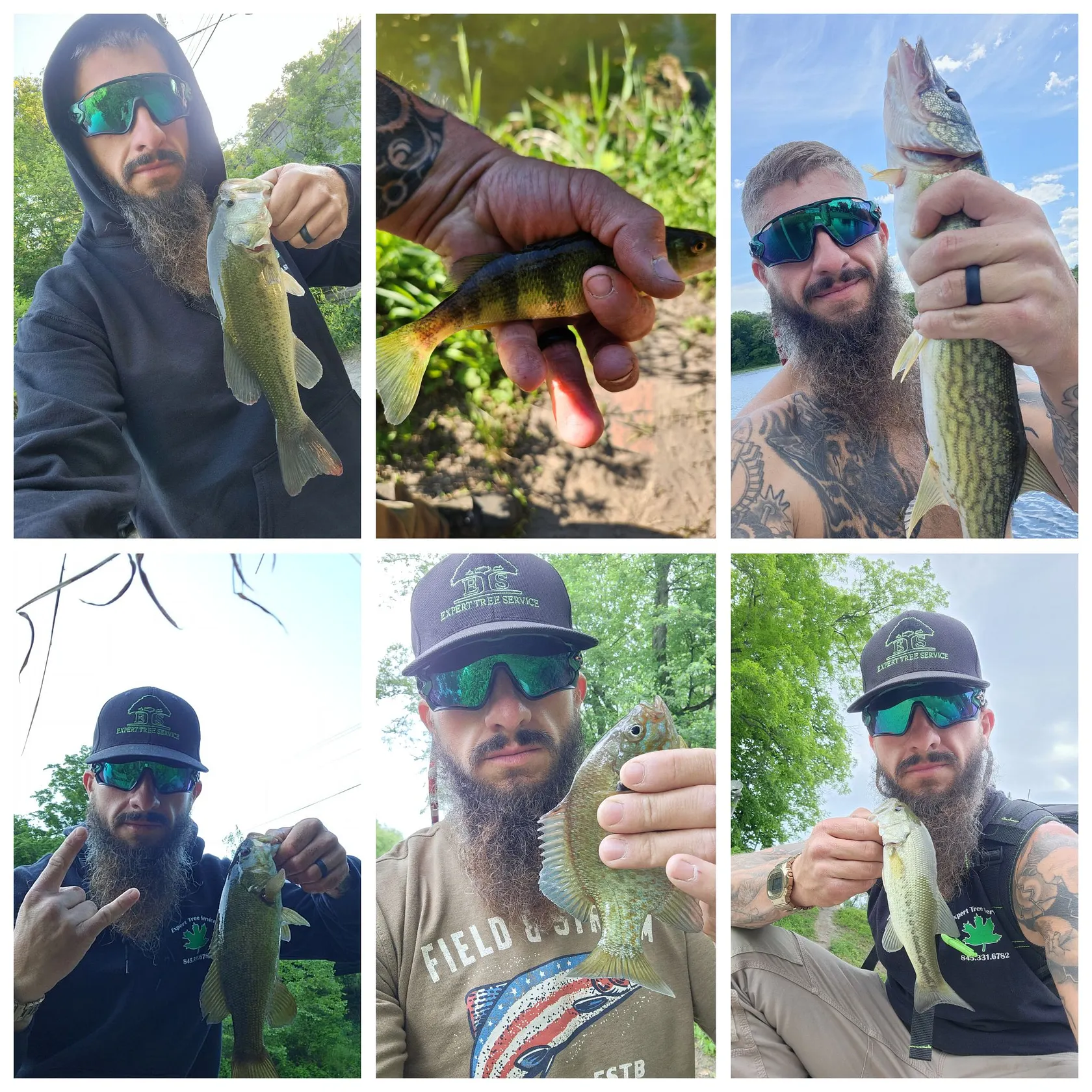 recently logged catches