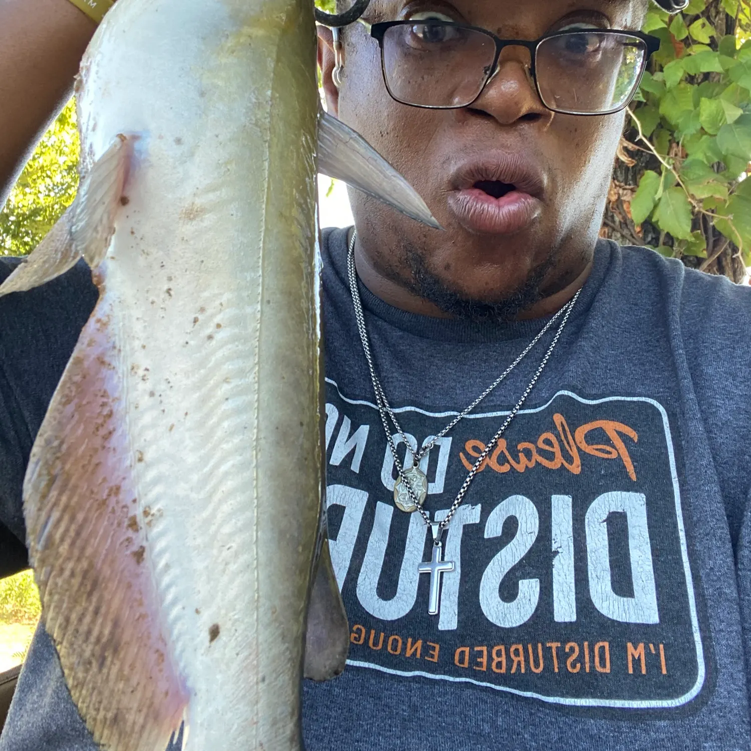 Channel catfish caught on Fishbrain