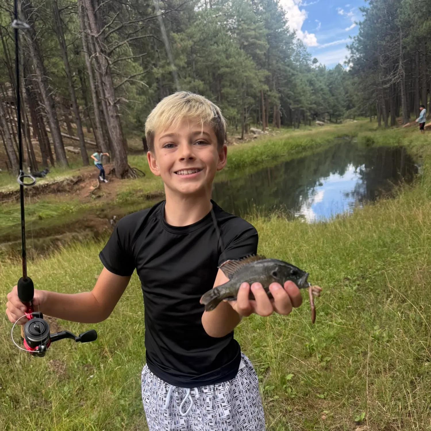 Greengill hybrid caught on Fishbrain