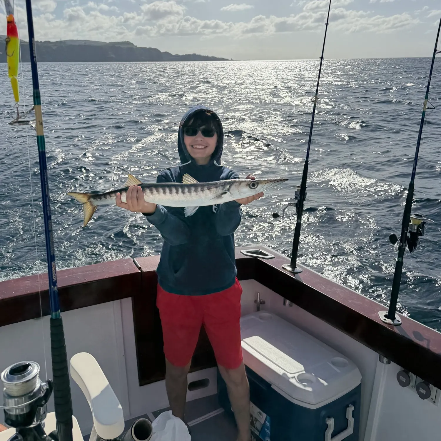 European barracuda caught on Fishbrain