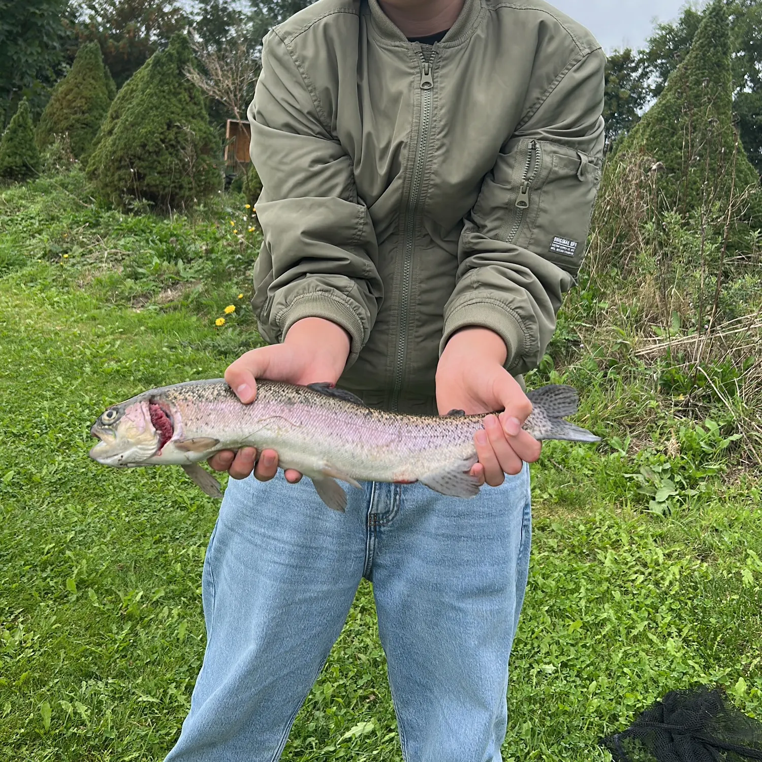 Rainbow trout caught on Fishbrain