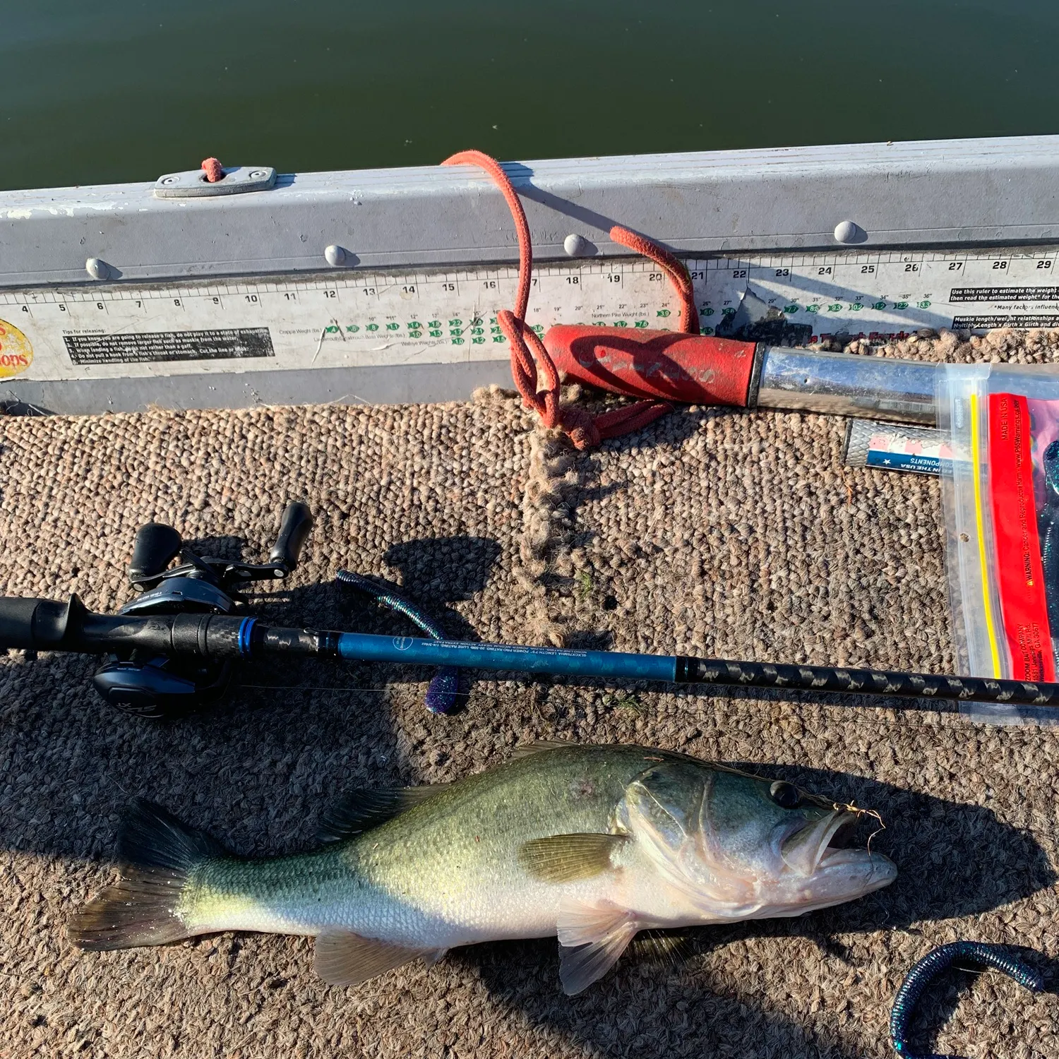 Largemouth bass caught on Fishbrain