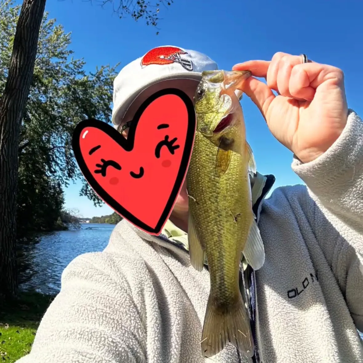 Largemouth bass caught on Fishbrain