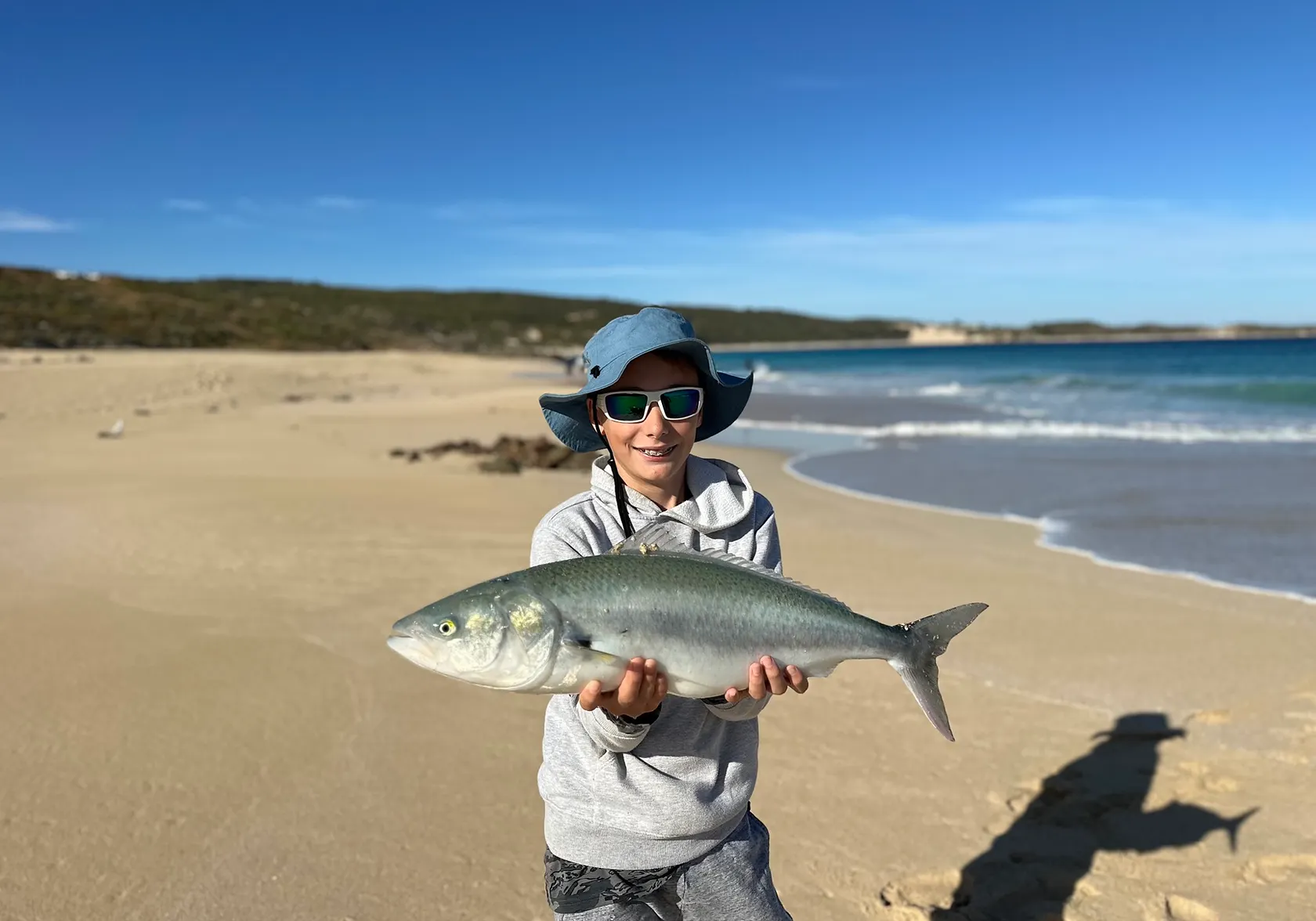 Western Australian salmon