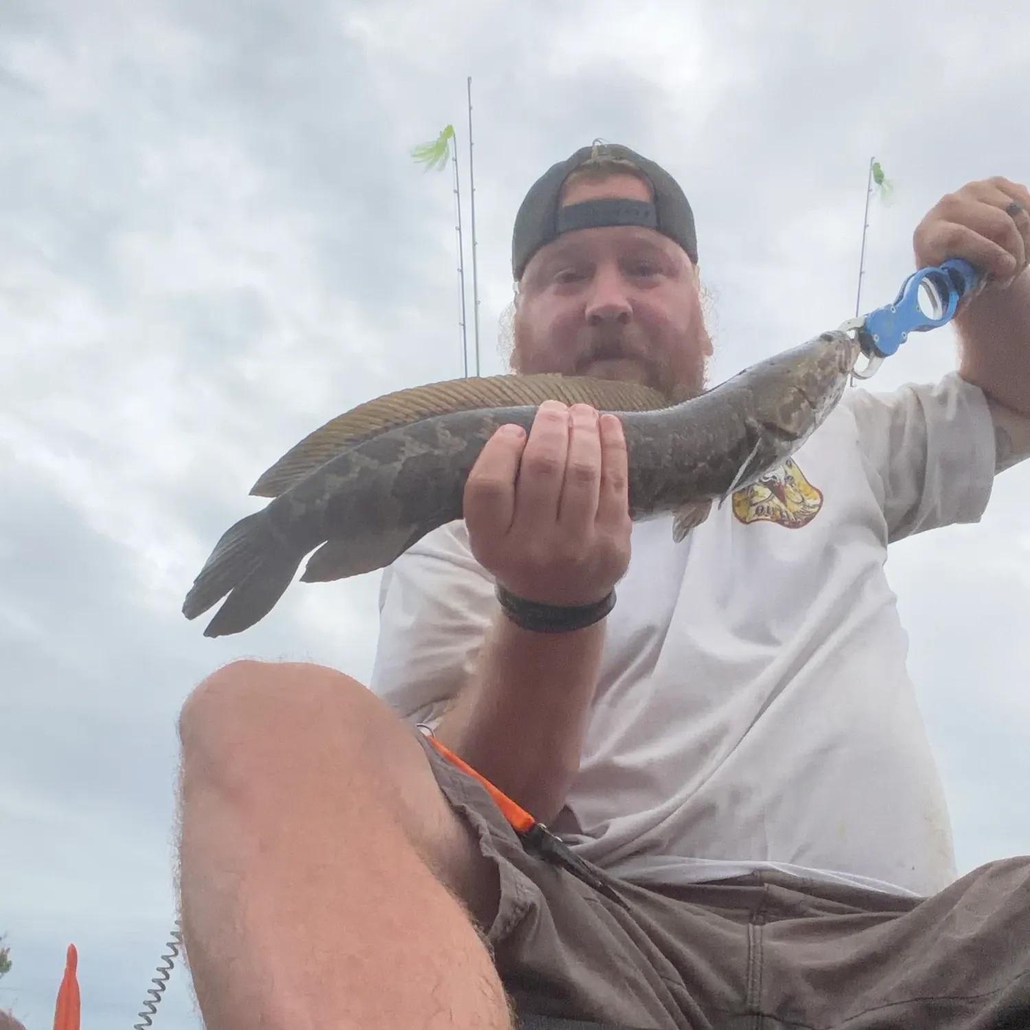 Northern snakehead caught on Fishbrain