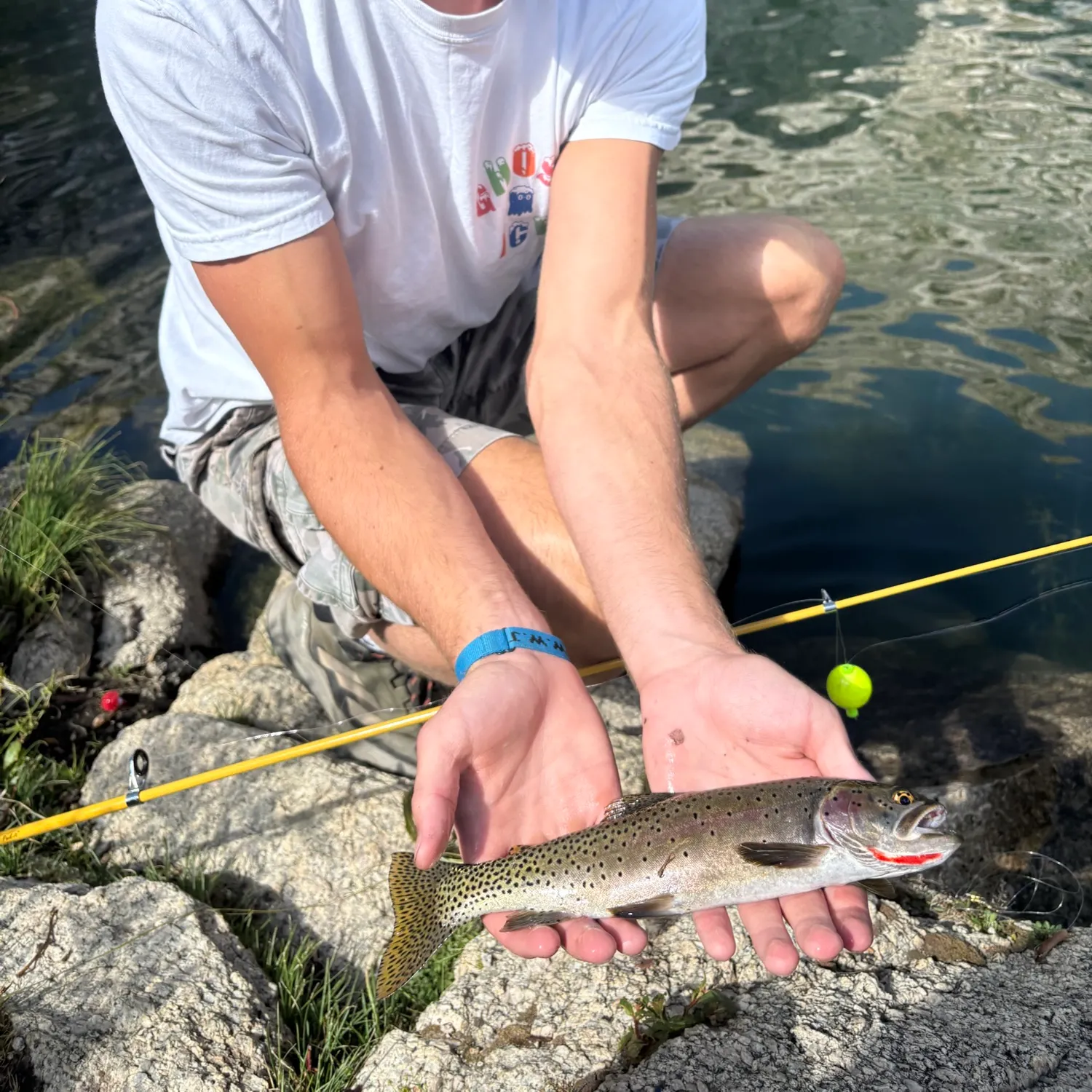 Cutthroat trout caught on Fishbrain