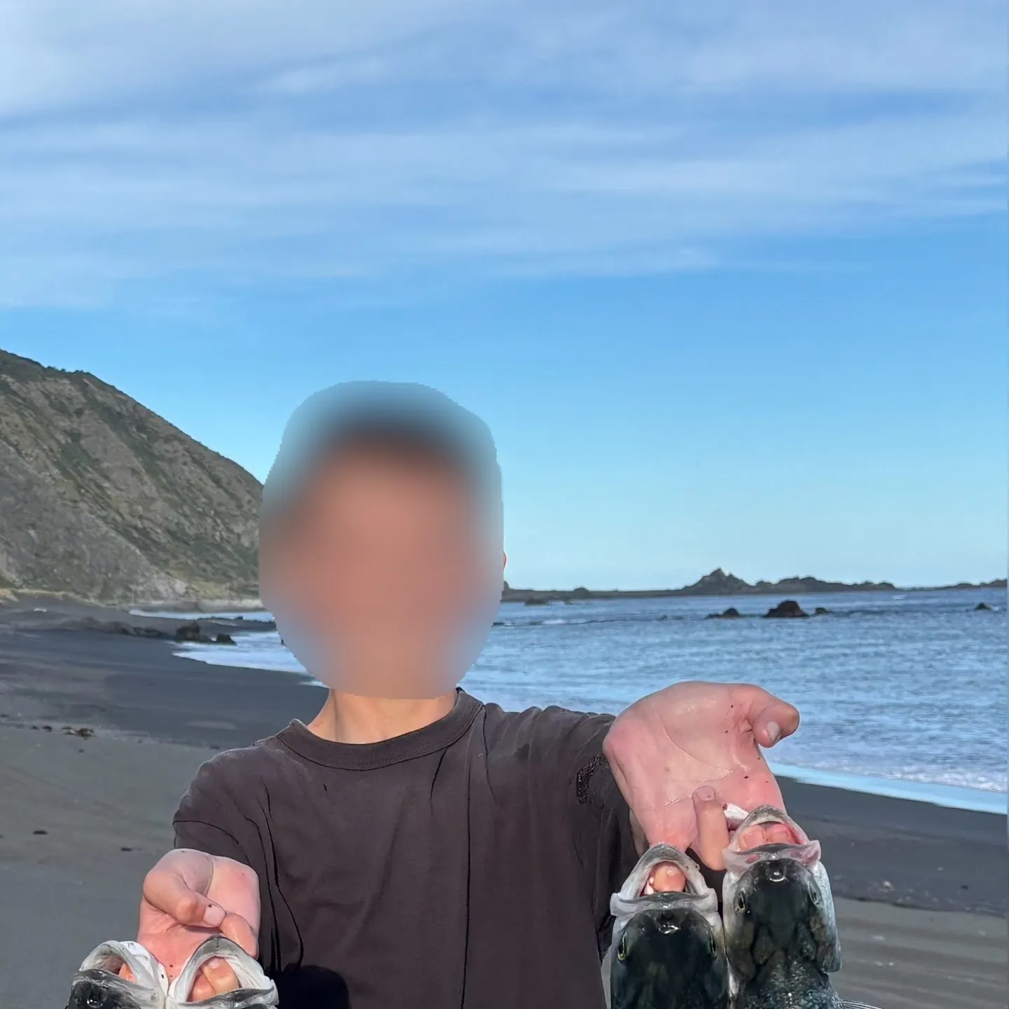 Eastern Australian salmon caught on Fishbrain