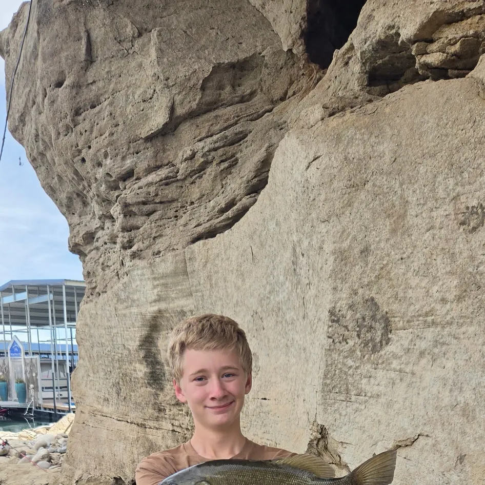Smallmouth bass caught on Fishbrain