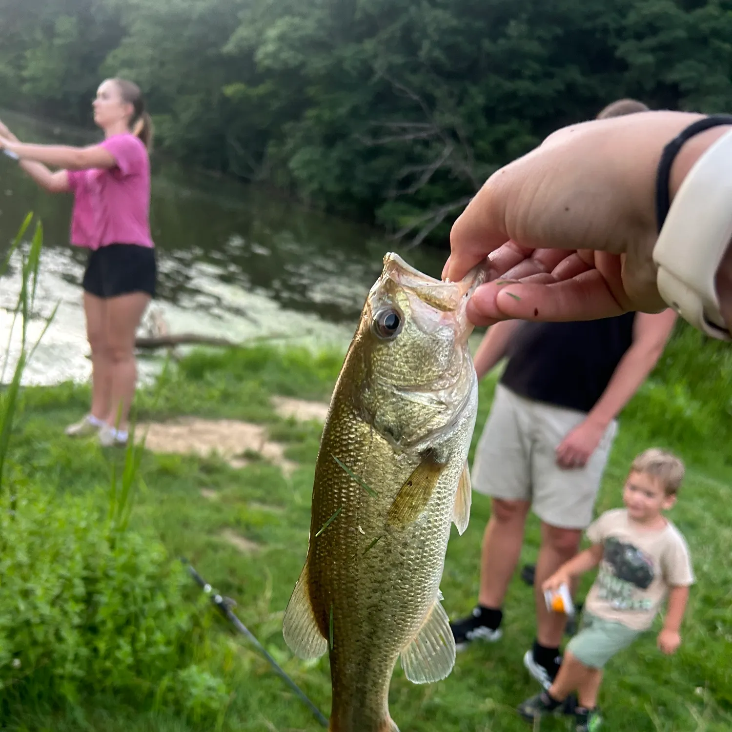 catch