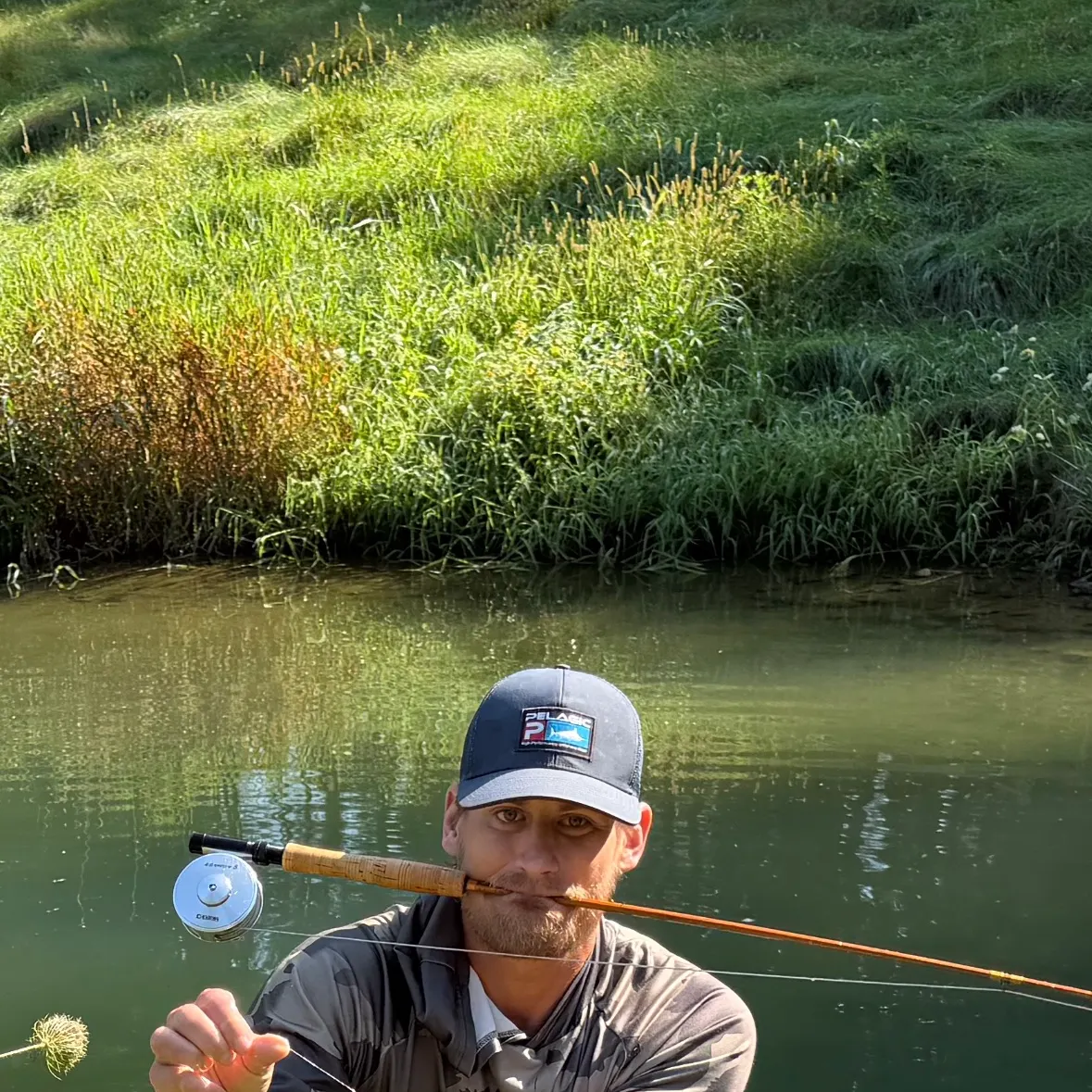 Rainbow trout caught on Fishbrain