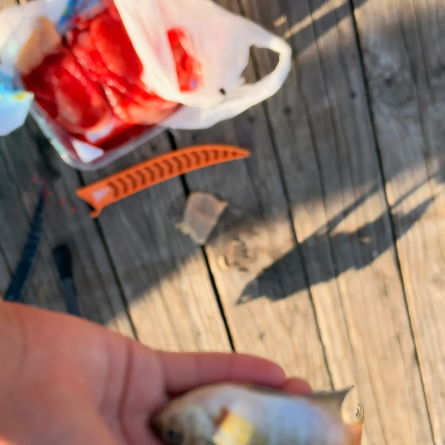 catch