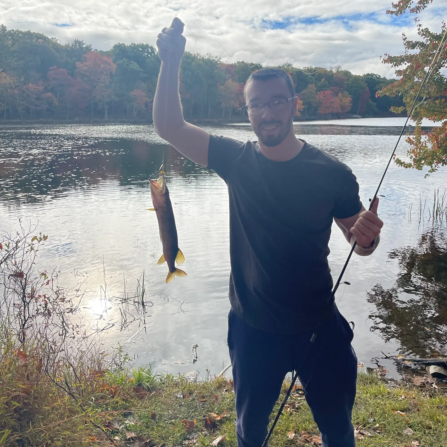 Chain pickerel caught on Fishbrain