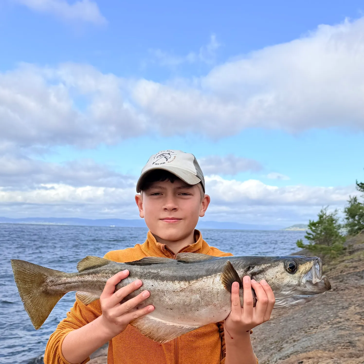 Pollack caught on Fishbrain