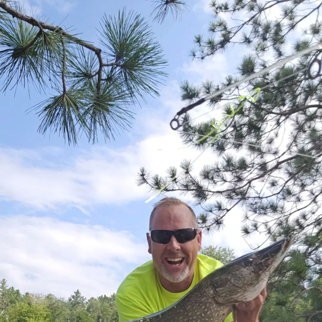 Northern pike caught on Fishbrain