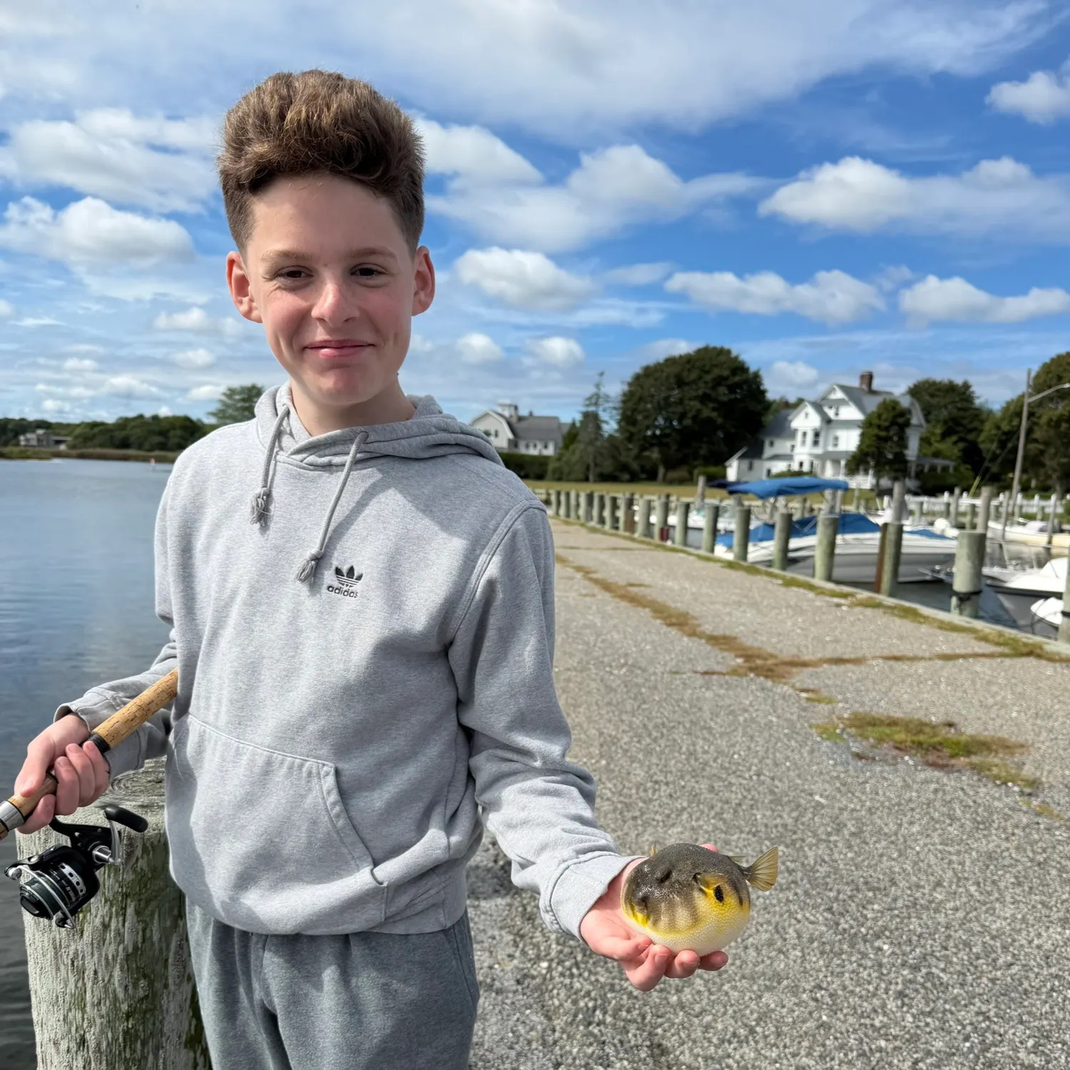 Northern puffer caught on Fishbrain
