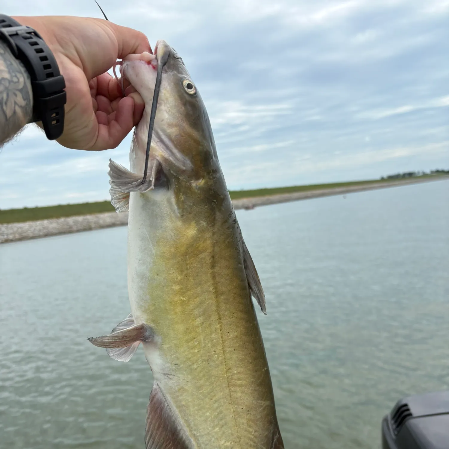 catch