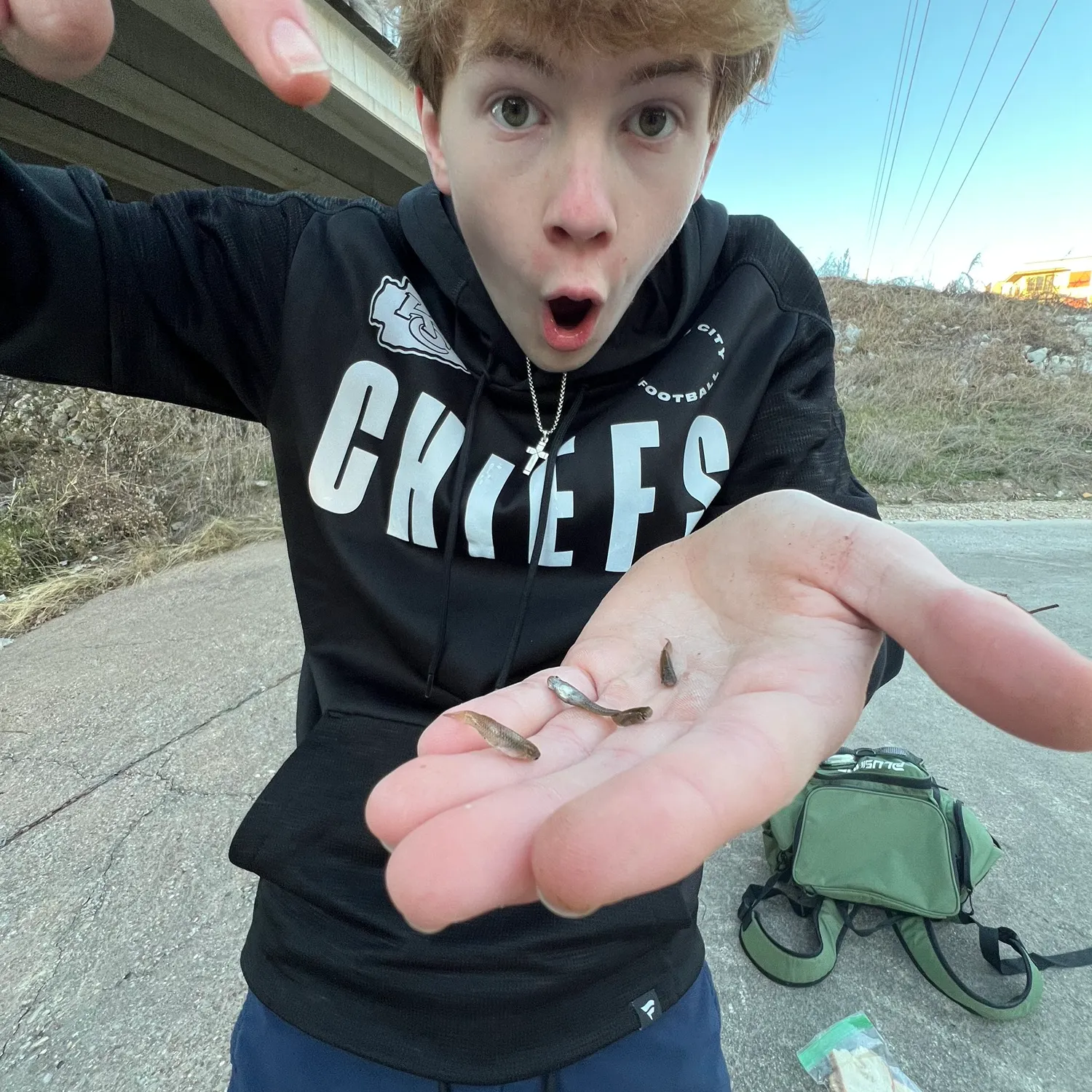 The most recent Suckermouth minnow catches on Fishbrain