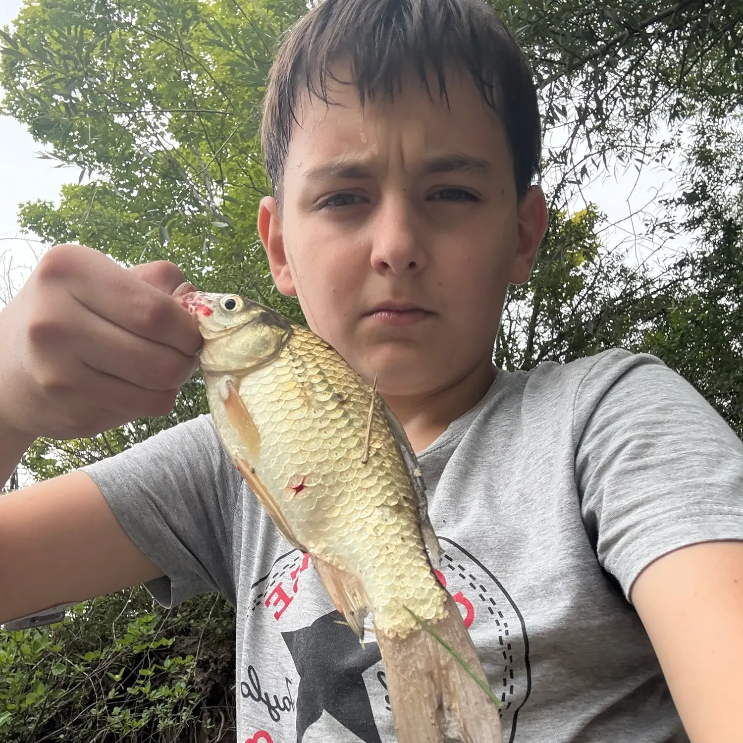 The most recent Goldfish catches on Fishbrain
