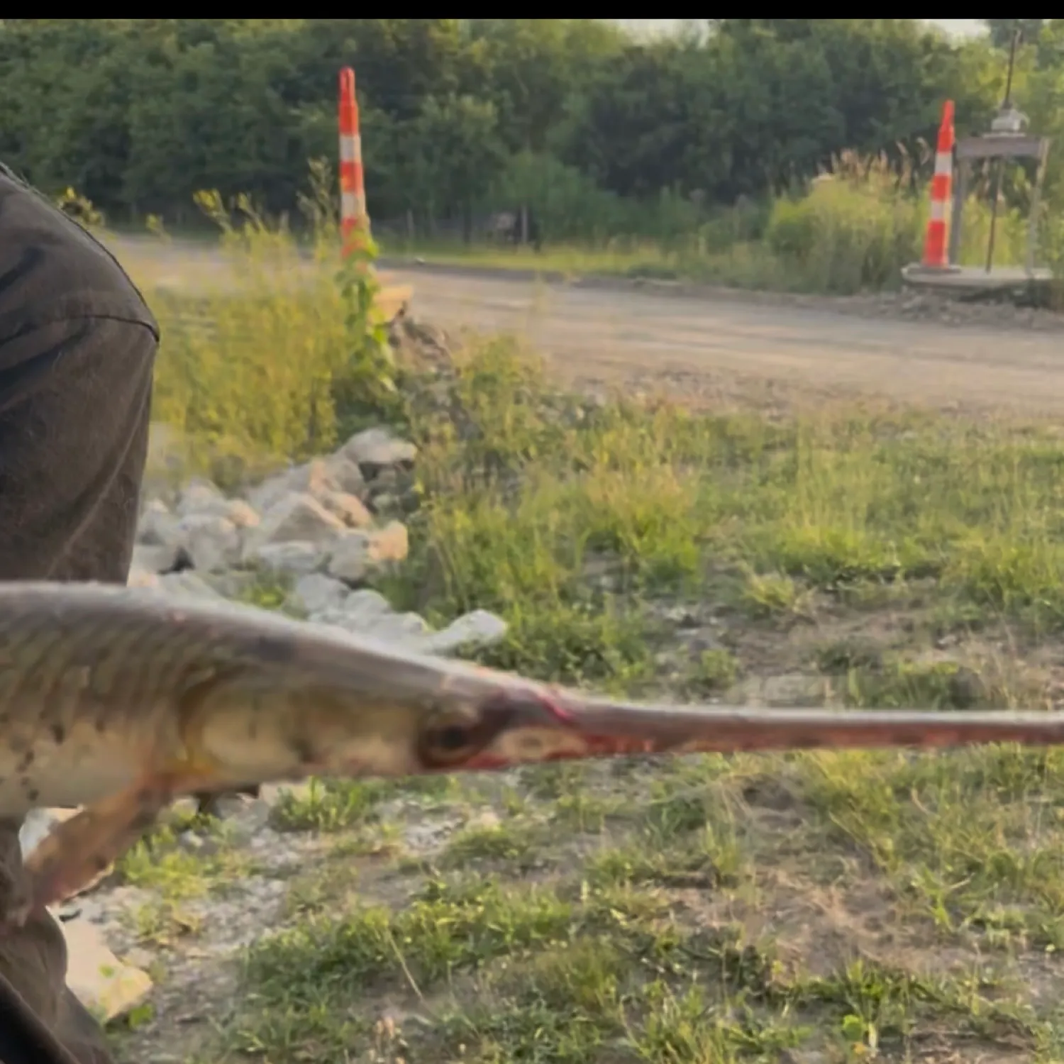 catch