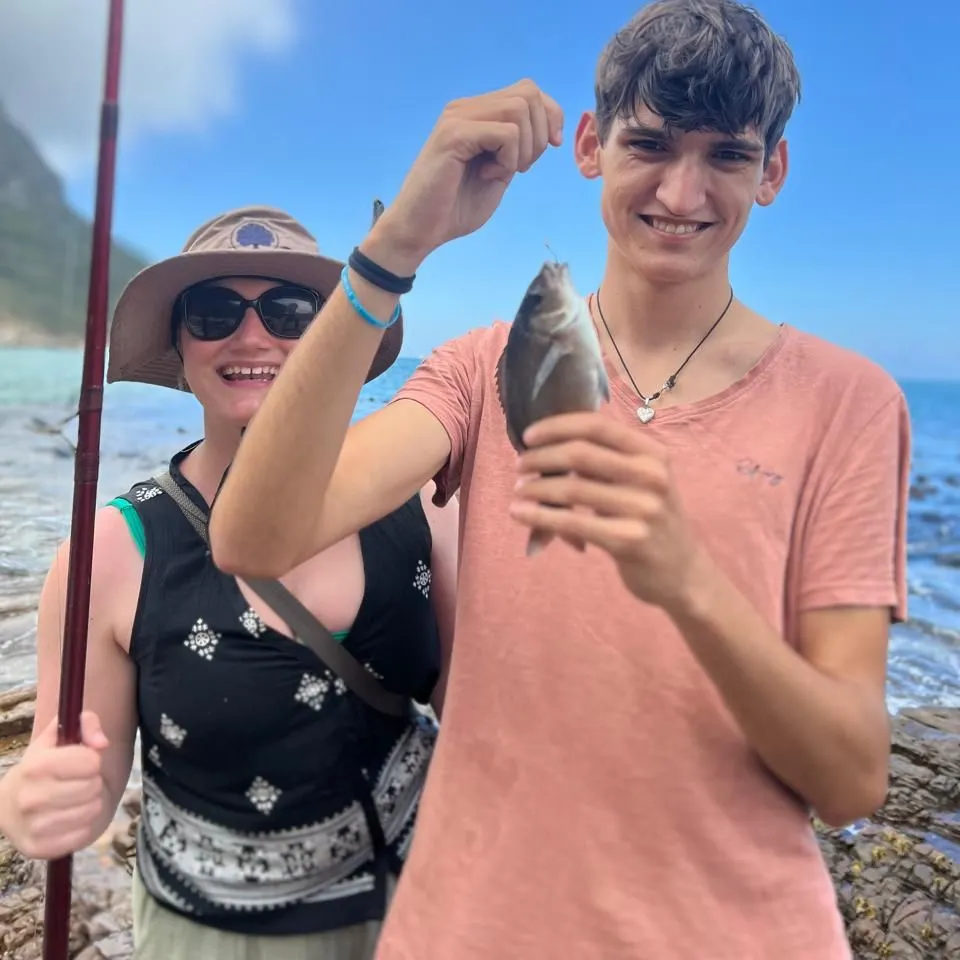 The most recent Hottentot seabream catches on Fishbrain