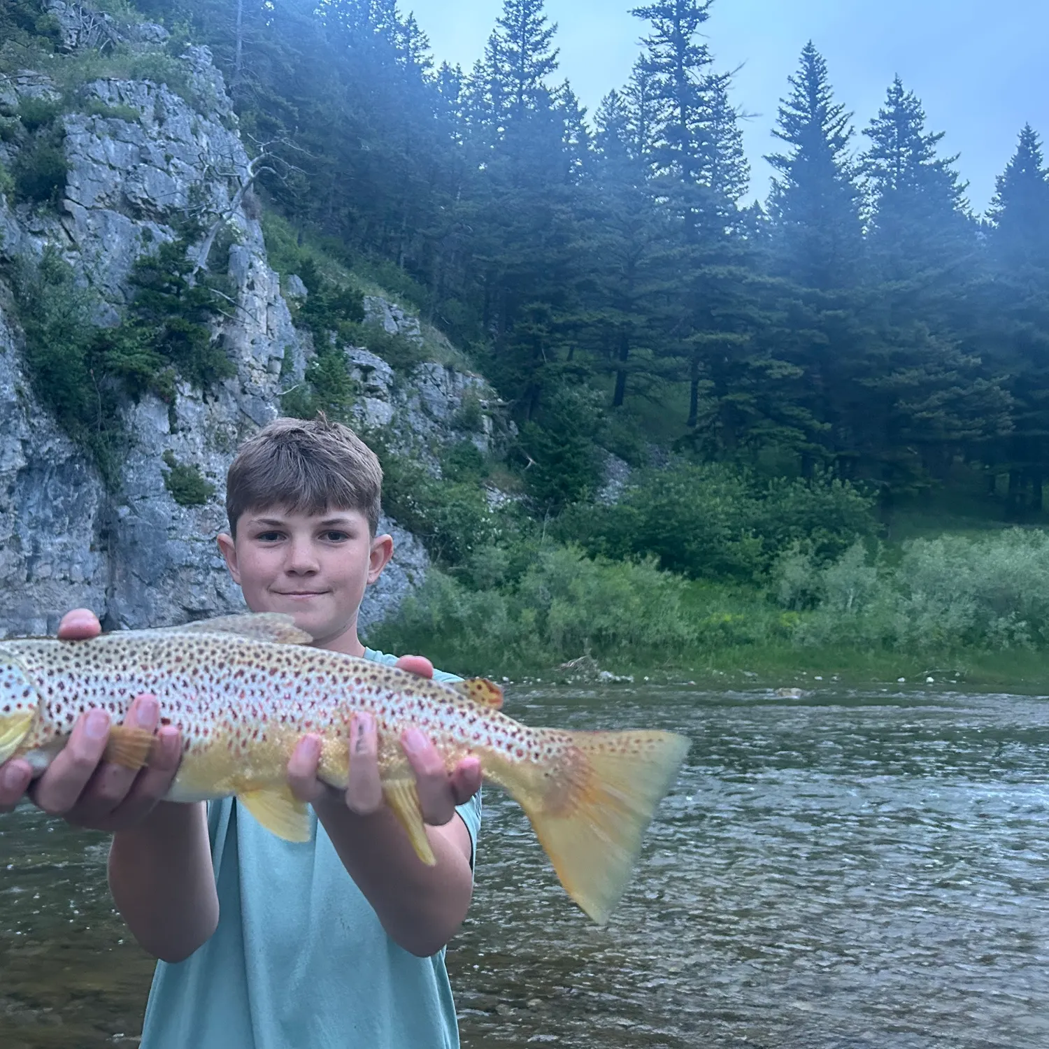 The most recent Brown trout catches on Fishbrain
