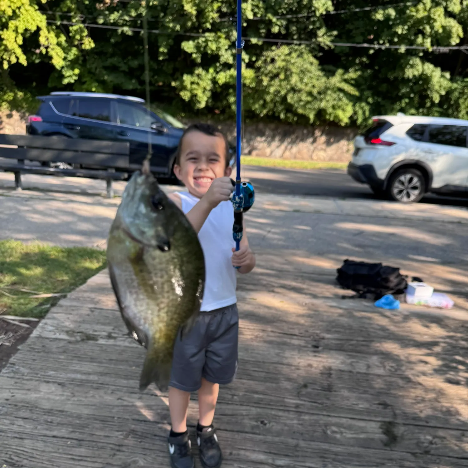 Bluegill caught on Fishbrain